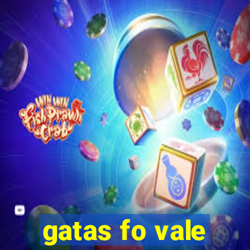 gatas fo vale